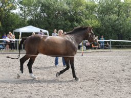 IMG_1350_web
